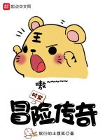 时空冒险传奇封面