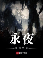 永夜——黑雨东风在线阅读