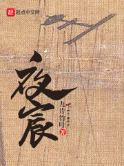 夜宸在线阅读