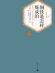 钢铁是怎样炼成的