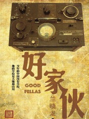 好家伙