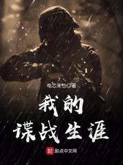 我的谍战生涯在线阅读