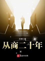从商二十年在线阅读