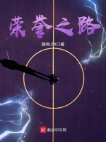 荣誉之路在线阅读