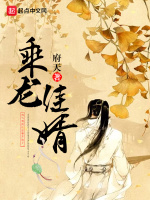 乘龙佳婿最新章节在线阅读