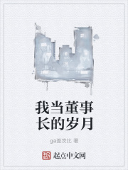 我当董事长的岁月在线阅读