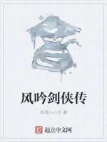 风吟剑侠传封面