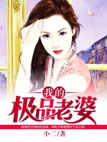 我的极品老婆在线阅读