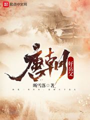 唐朝好岳父在线阅读