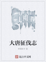 大唐征伐志封面
