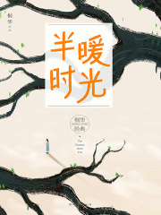 半暖时光（同名电视剧原著）
