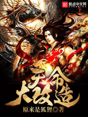 天命大改造在线阅读