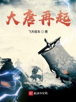 大唐再起封面