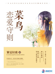 菜鸟恋爱守则在线阅读