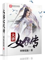 大唐女侠传封面
