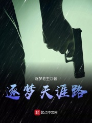 逐梦天涯路在线阅读