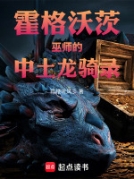 霍格沃茨巫师的中土龙骑录封面