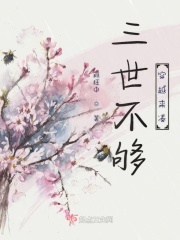 三世不够穿越来凑在线阅读