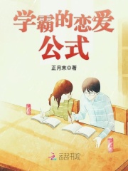 学霸的恋爱公式