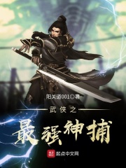 武侠之最强神捕在线阅读