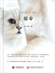 猫命（猫系列第二部续章）