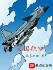 大国航空在线阅读