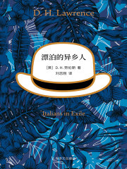 漂泊的异乡人在线阅读