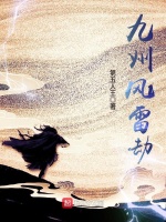 九州风雷劫封面