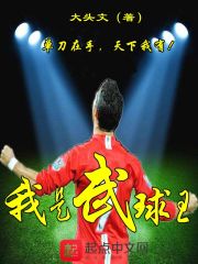 我是武球王在线阅读