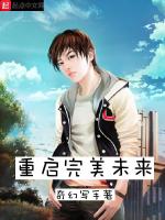 重启完美未来在线阅读
