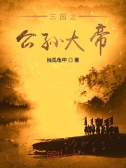 三国之公孙大帝