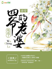 清穿后我成了四爷的老婆在线阅读