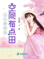 八十年代之空间有点田在线阅读