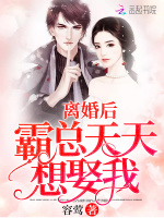 离婚后霸总天天想娶我最新章节在线阅读