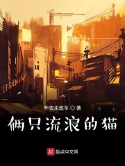 俩只流浪的猫在线阅读