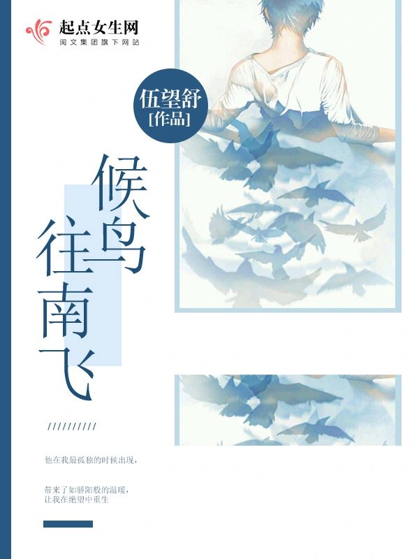 候鸟往南飞