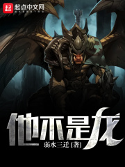 他不是龙在线阅读
