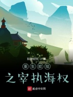 重生欧陆之宰执海权在线阅读
