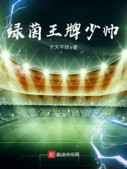 绿茵王牌少帅在线阅读
