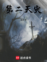 第二天灾封面