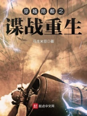 穿越陪都之谍战重生在线阅读