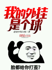 我的外挂是个球