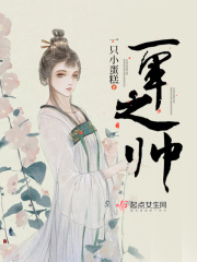一军之帅在线阅读