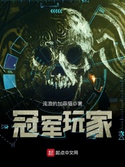 冠军玩家在线阅读
