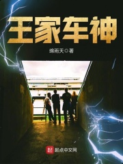 王家车神在线阅读