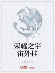 荣耀之宇宙外挂