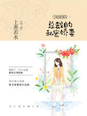 全面攻陷：总裁的私密娇妻