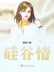 硅谷情在线阅读