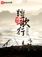 烽火踏歌行封面