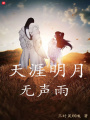天涯明月无声雨在线阅读